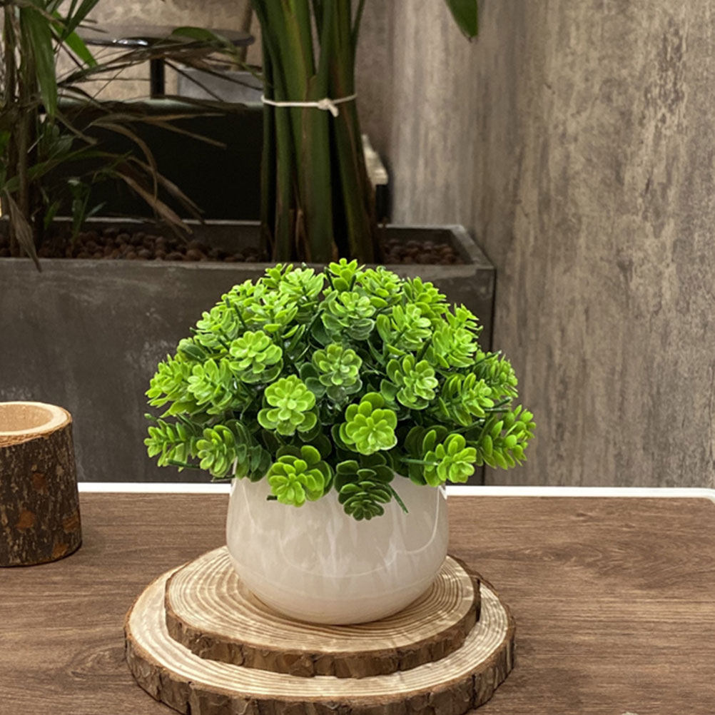 Bonsai Garden Cafe - Bonsái Artificial Realista en Maceta, Planta