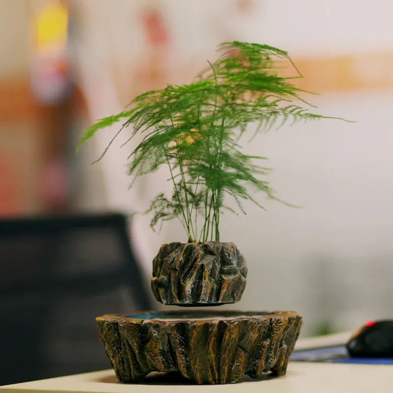 Bonsai Vertical Garden - Macetas de Resina Flotantes con Levitación