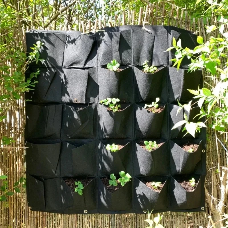 Bonsai Vertical Garden - Maceta Colgante para Plantas con Múltiples