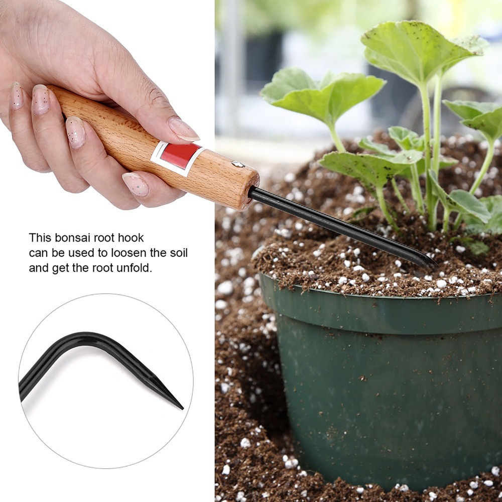 Gancho para Raíces de Bonsái d - Bonsai Garden Design reseña y precio