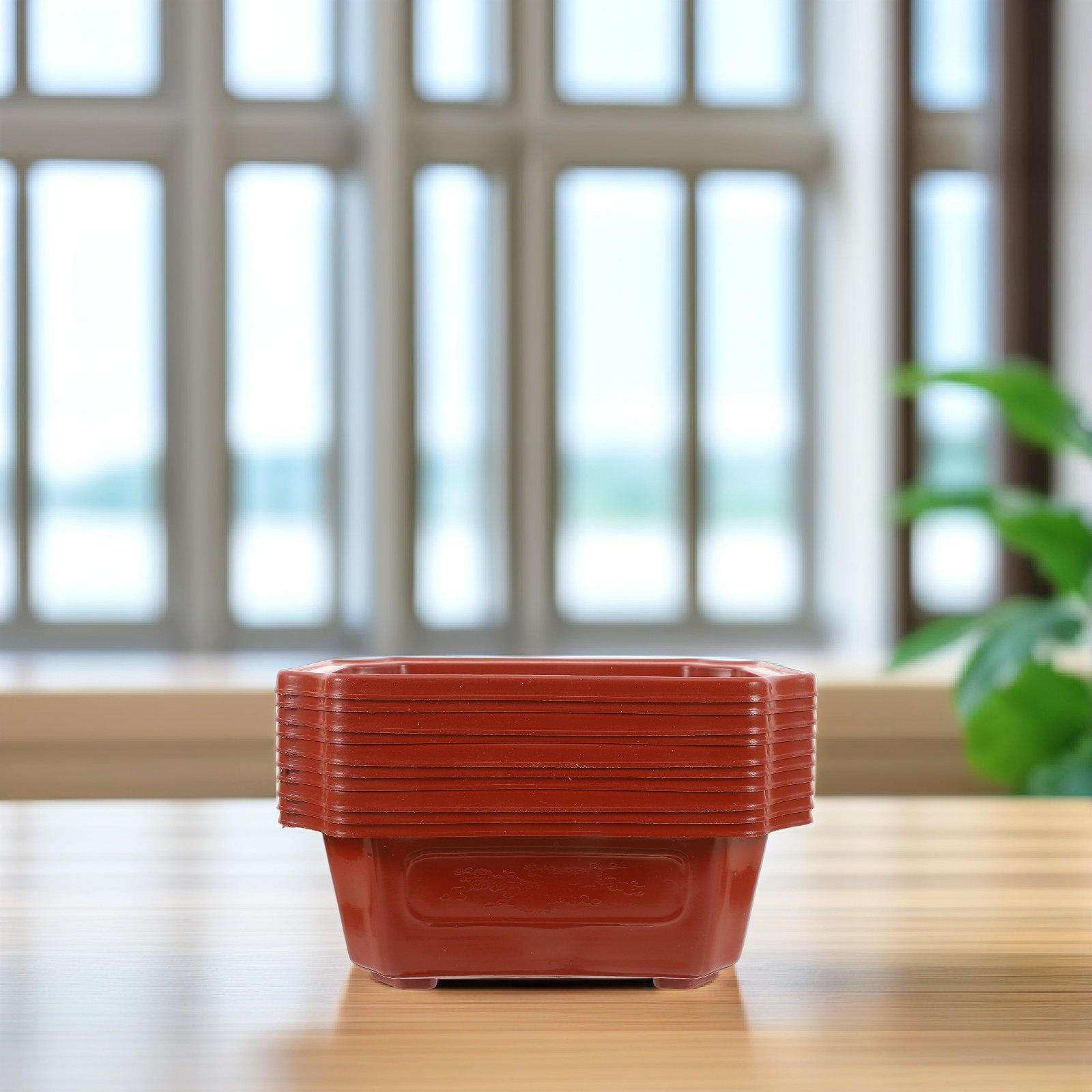10 Macetas Rectangulares de Pl - Bonsai Garden Design reseña y precio