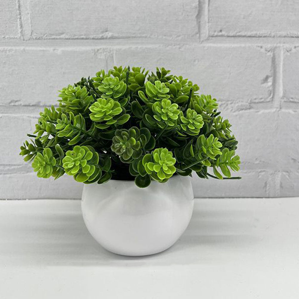 Bonsái Artificial Realista en  - Bonsai Garden Cafe reseña y precio