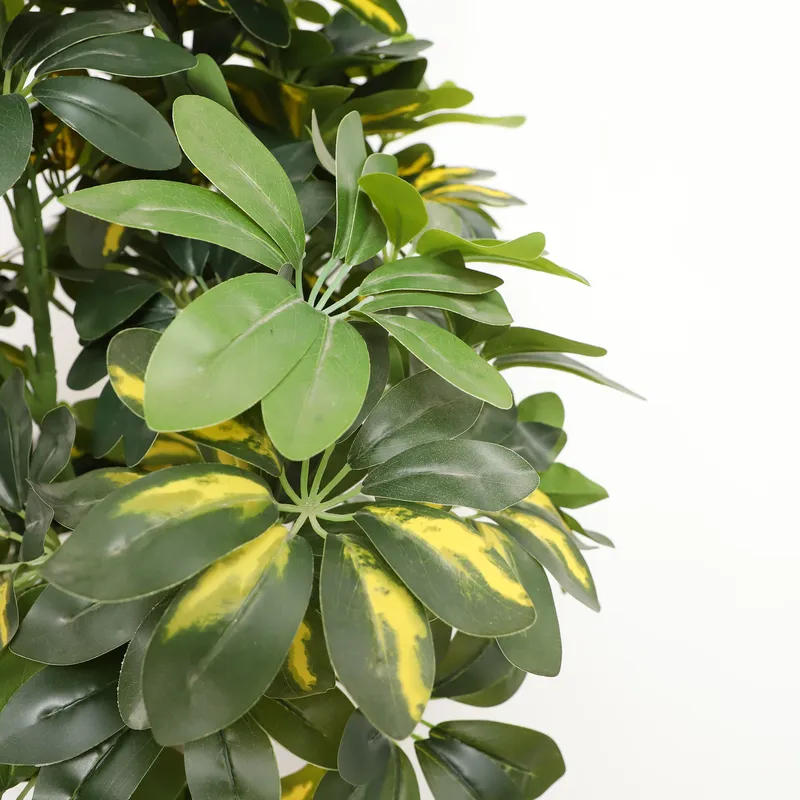Árbol Bonsái Artificial Scheff - Bonsai Garden Price reseña y precio