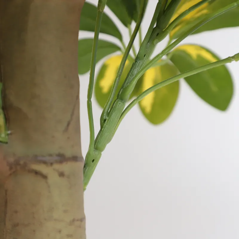 Árbol Bonsái Artificial Scheff - Bonsai Garden Price reseña y precio
