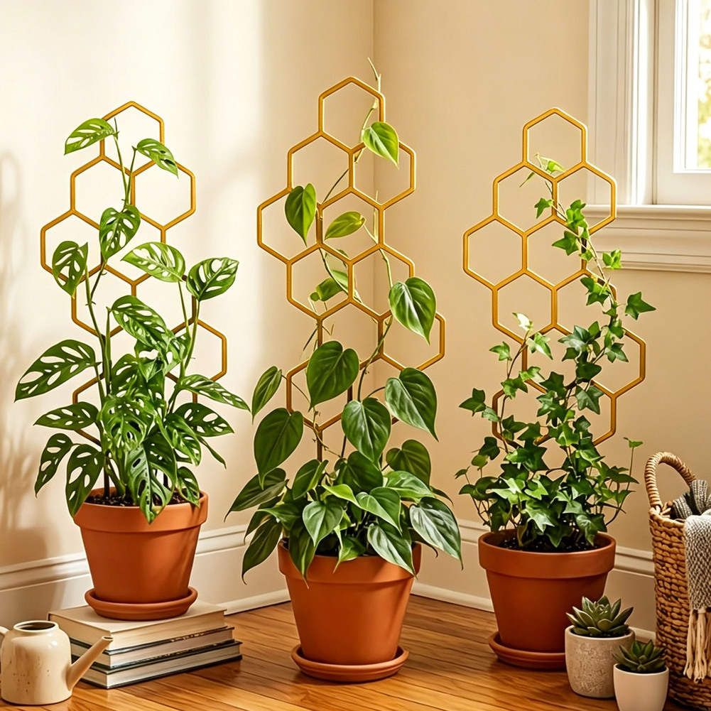 Soporte Hexagonal de Dos Pieza - Bonsai Vertical Garden reseña y precio