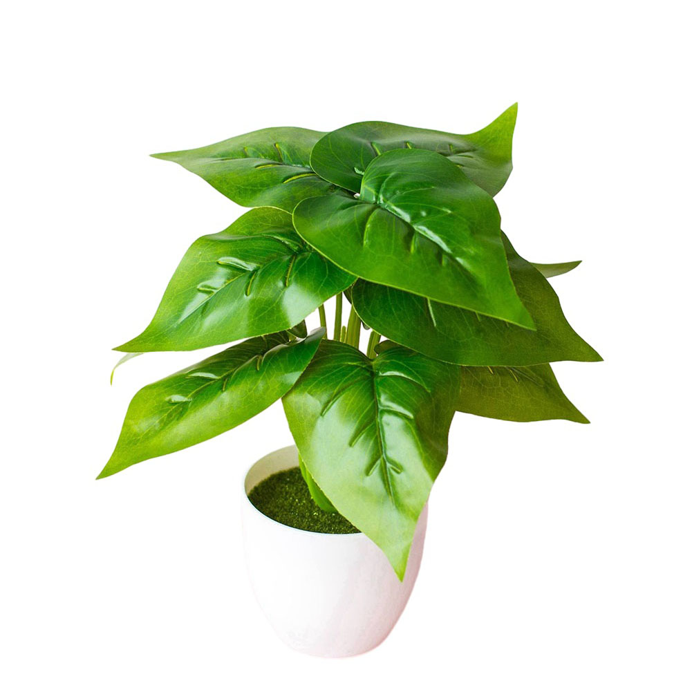 Planta Artificial Realista en  - Bonsai Garden Design reseña y precio