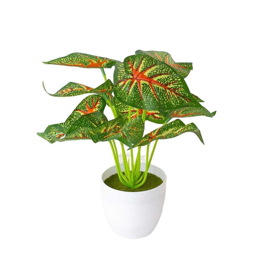 Planta Artificial Realista en  - Bonsai Garden Design reseña y precio