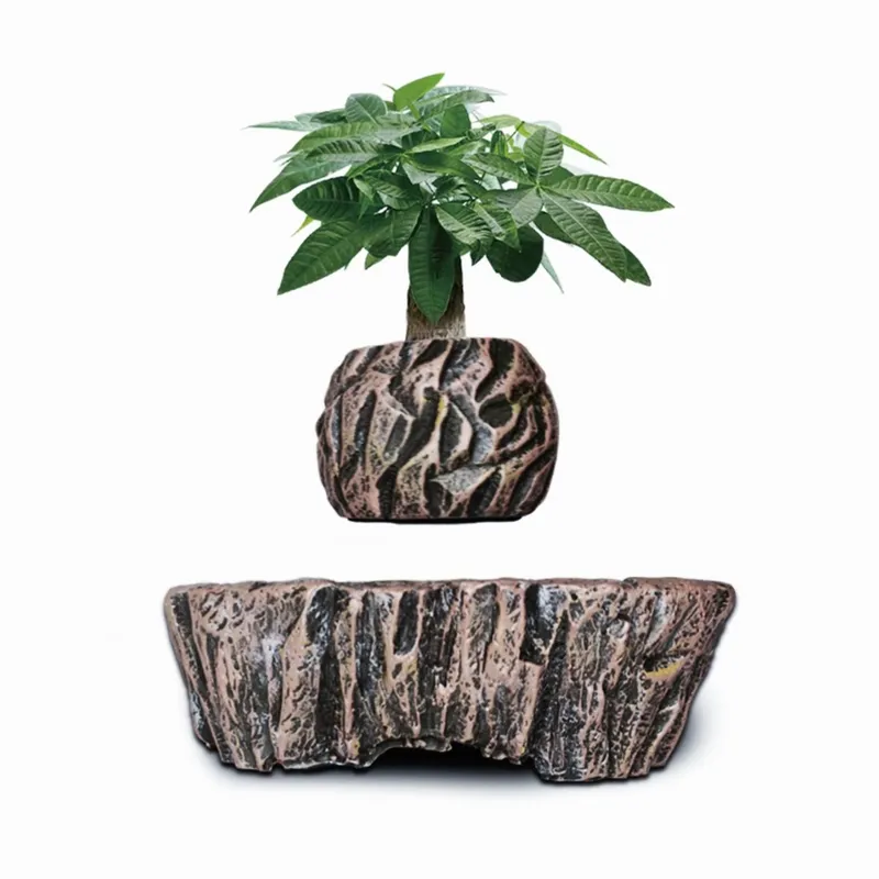 Macetas de Resina Flotantes co - Bonsai Vertical Garden reseña y precio
