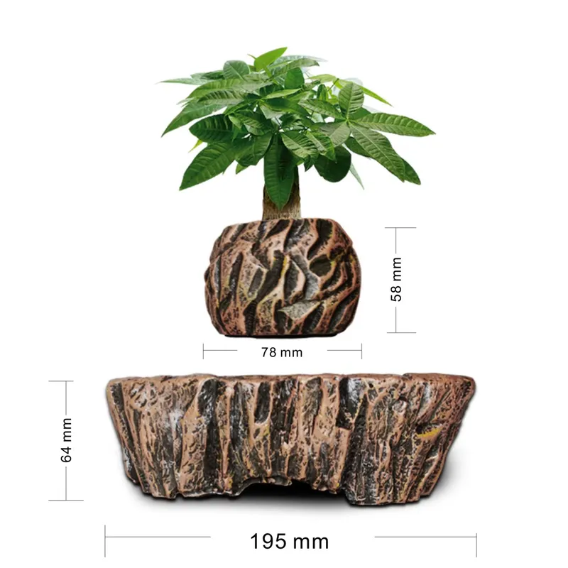 Macetas de Resina Flotantes co - Bonsai Vertical Garden reseña y precio