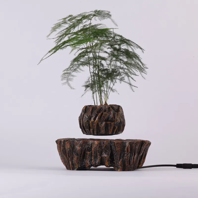 Macetas de Resina Flotantes co - Bonsai Vertical Garden reseña y precio