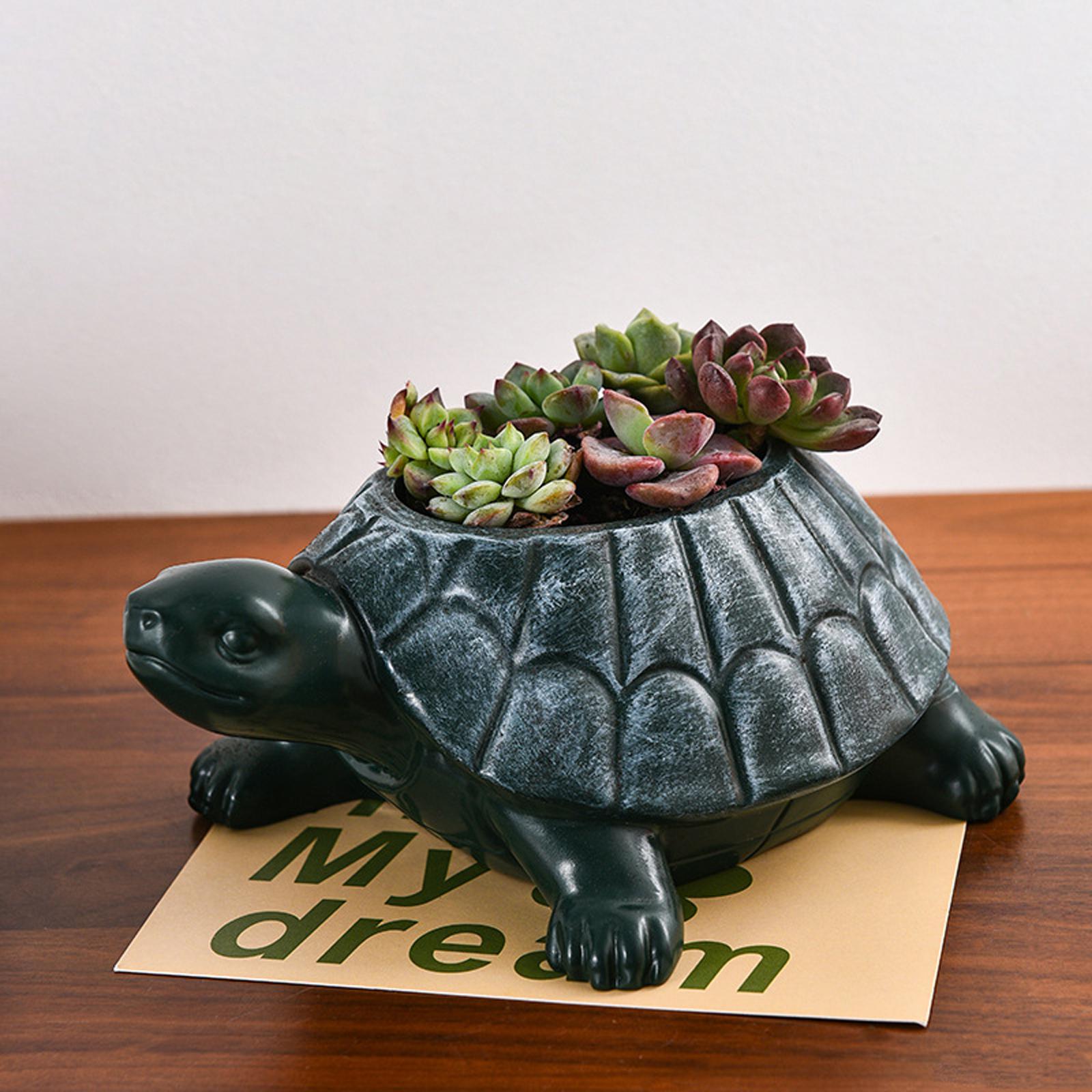 Maceta Decorativa con Forma de - Bonsai Garden Cafe reseña y precio