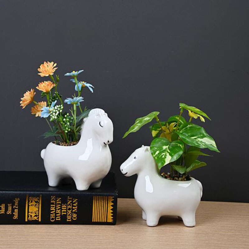 Maceta de Porcelana Blanca Cre - Bonsai Garden Art reseña y precio