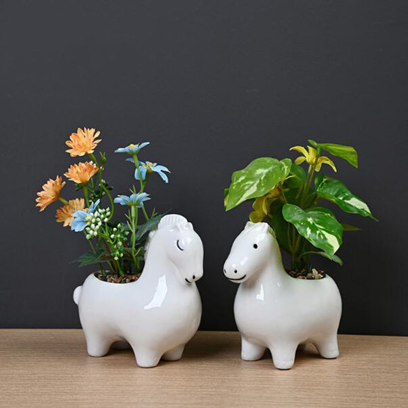 Maceta de Porcelana Blanca Cre - Bonsai Garden Art reseña y precio