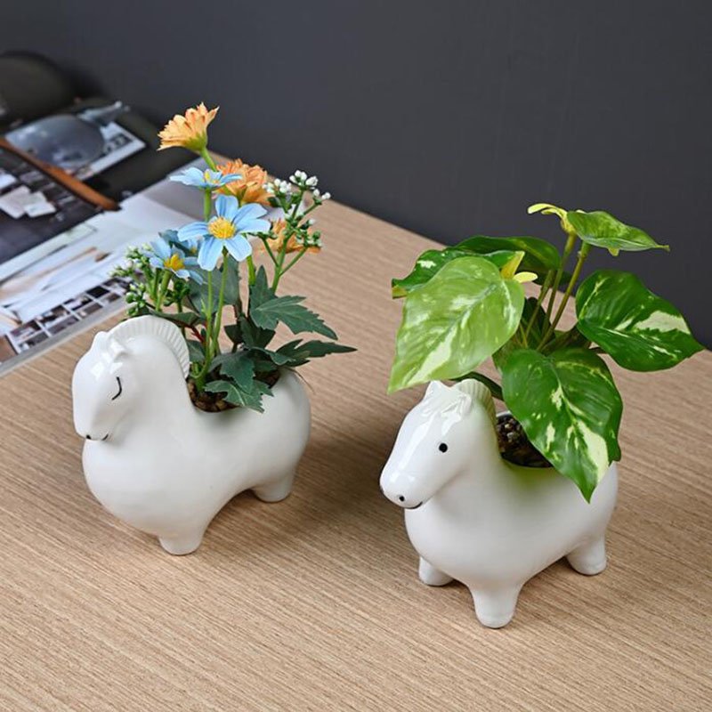 Maceta de Porcelana Blanca Cre - Bonsai Garden Art reseña y precio