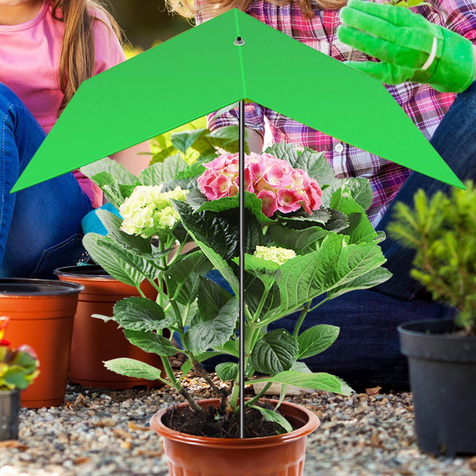 Sombrilla para plantas, cubier - Bonsai Garden Cafe reseña y precio