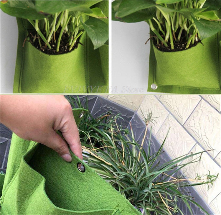 Bolsas para plantar para colga - Bonsai Vertical Garden reseña y precio