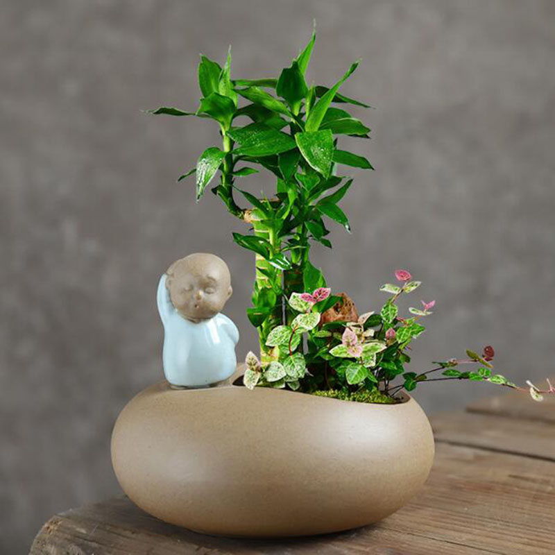 Maceta de monje de cerámica Re - Bonsai Garden Art reseña y precio