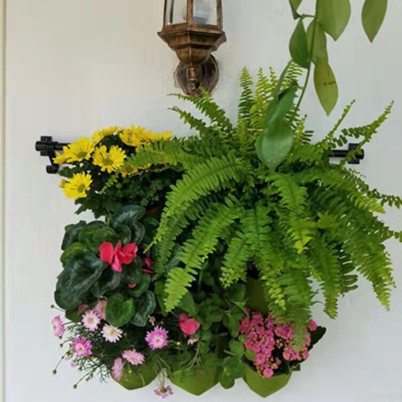 Bolsa de plantación para colga - Bonsai Vertical Garden reseña y precio