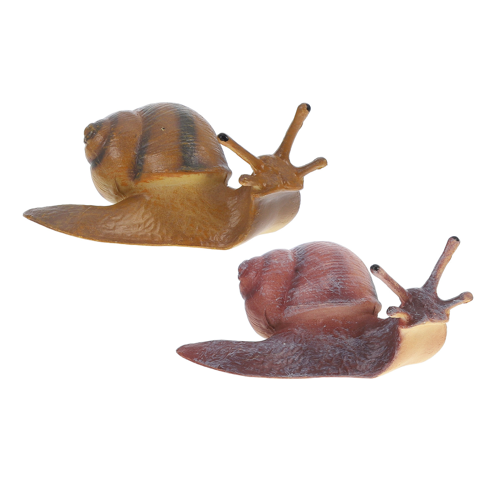 Figura de caracol de alto deta - Bonsai Garden Design reseña y precio