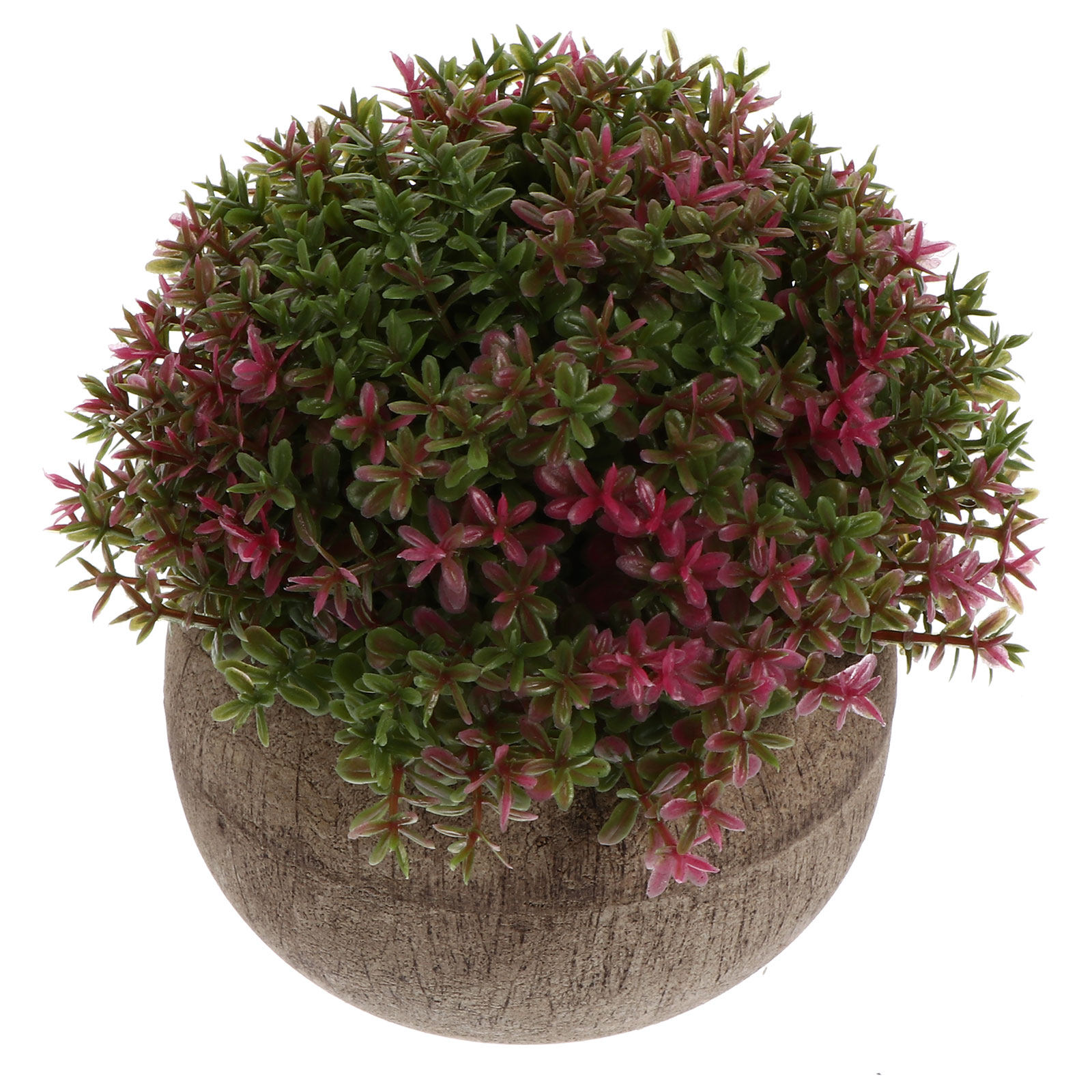 Mini Bonsái de Plástico, Plant - Bonsai Garden Cafe reseña y precio