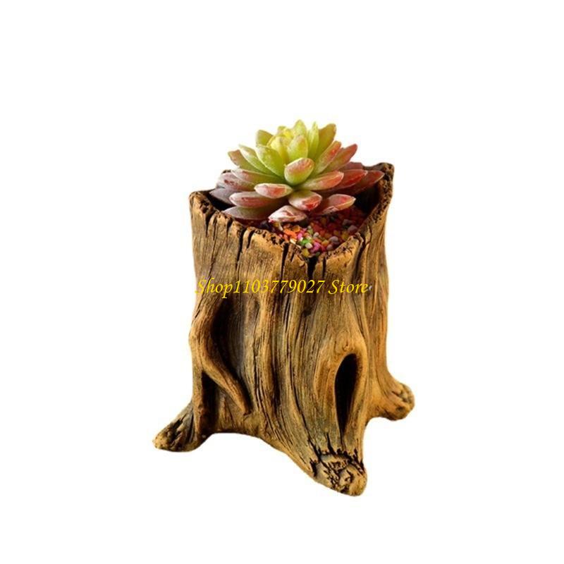 Macetero decorativo para sucul - Bonsai Garden Design reseña y precio