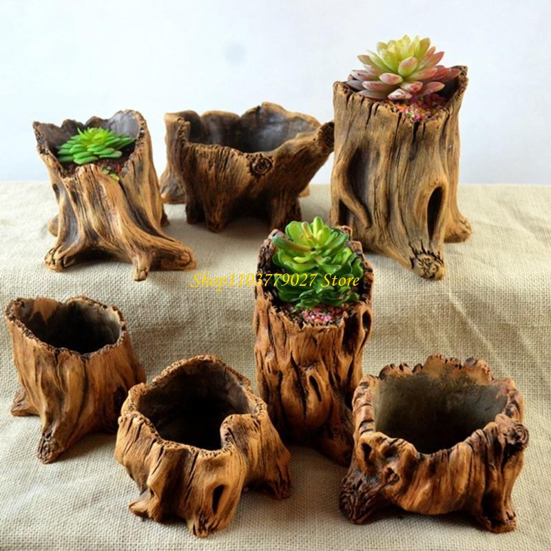 Macetero decorativo para sucul - Bonsai Garden Design reseña y precio