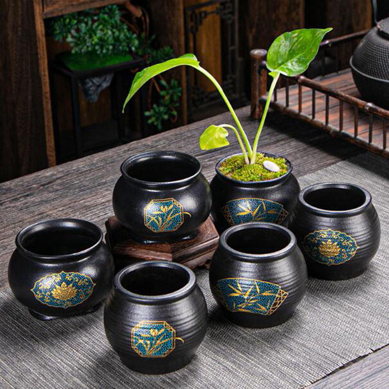 Maceta de Cerámica Estilo Chin - Bonsai Garden Art reseña y precio