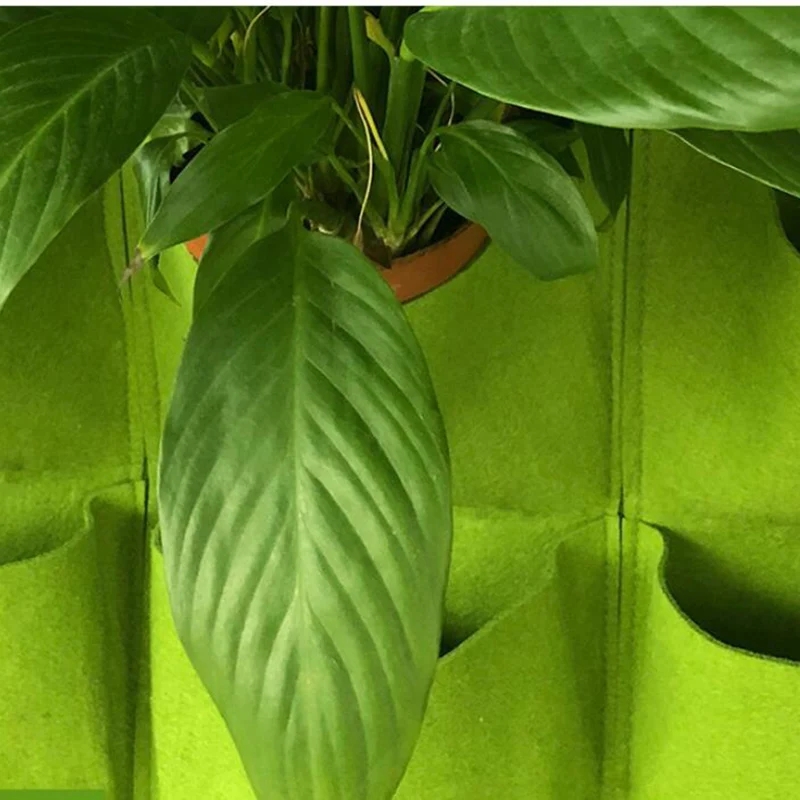 Bolsa de plantación para colga - Bonsai Vertical Garden reseña y precio