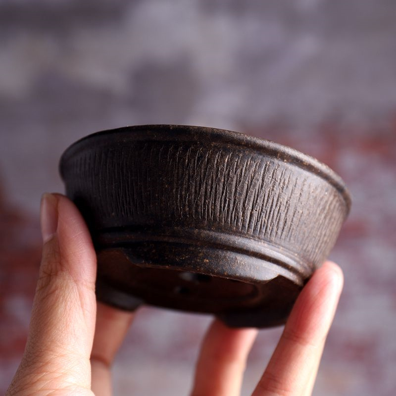 Cuenco circular de cerámica pa - Bonsai Vertical Garden reseña y precio