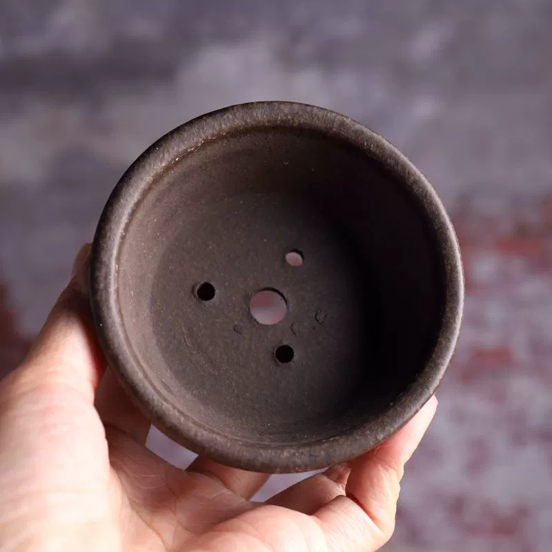 Cuenco circular de cerámica pa - Bonsai Vertical Garden reseña y precio